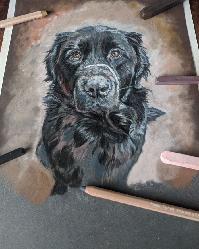 Lucie The Newfie - Art Of Ilona T.